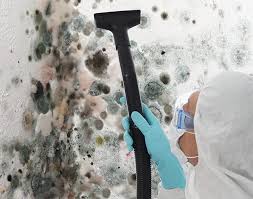 Best Basement Mold Removal  in Rockville, CT